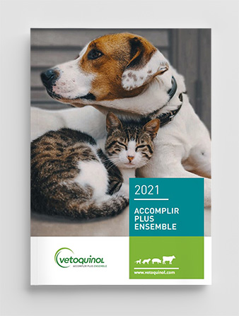Brochure Corporate 2021